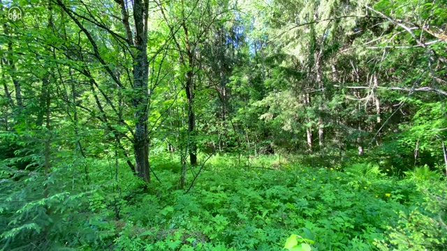  상담관련자격증 , 심리상담사 자격증 시험준비 체크해보세요