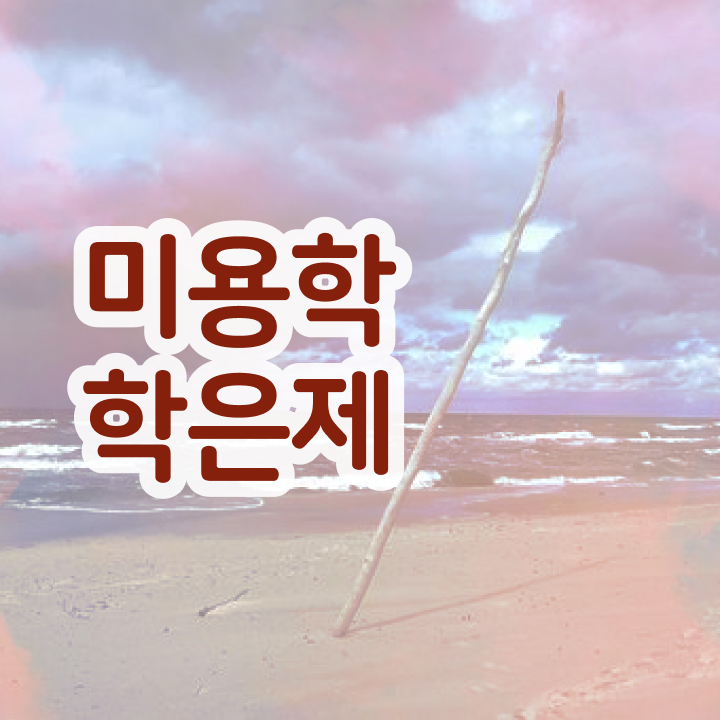  미용사 자격증 후기 , 미용사자격증 학은제로 7달 만에 취득하기