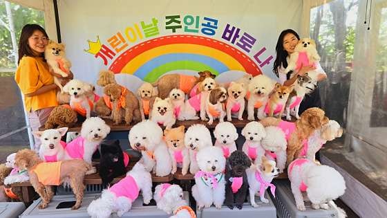 사진 4