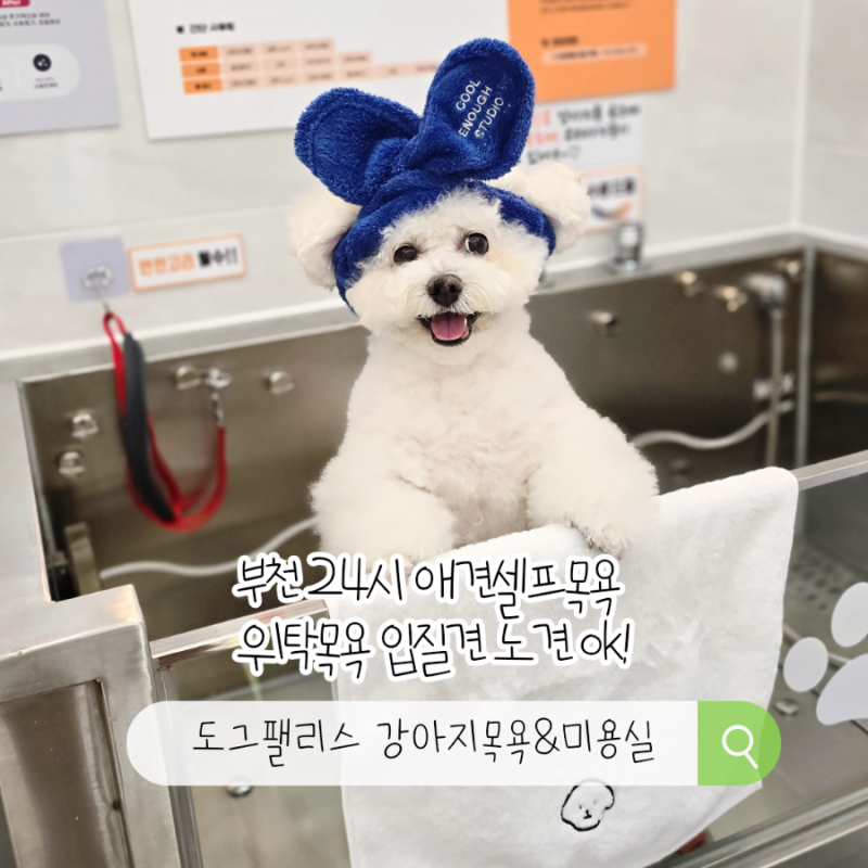 사진 3