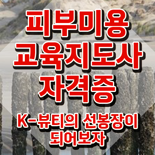  피부미용사 일정 , 피부미용교육지도사 자격증 응시자격 없이 합격한 팁 , 취업정보