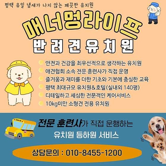매너멍라이프 애견유치원 애견호텔 애견훈련 강아지유치원