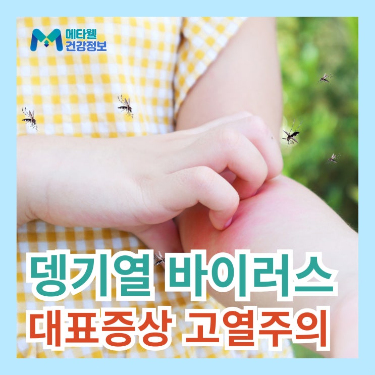 동남아 여행시 꼭 주의해야할 뎅기열 대표 증상 6가지