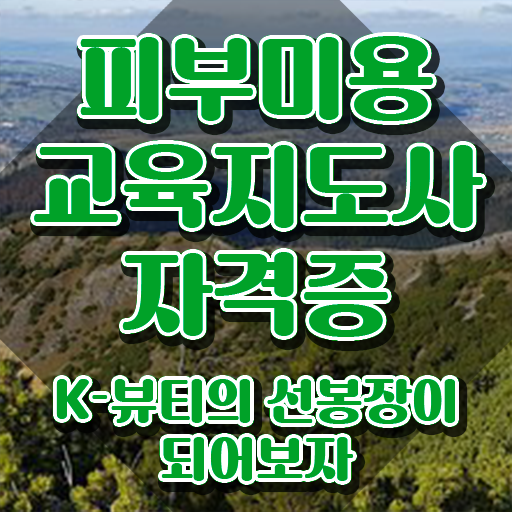  피부관리사 , 피부미용교육지도사 자격증 온라인으로 준비한 방법 요점정리