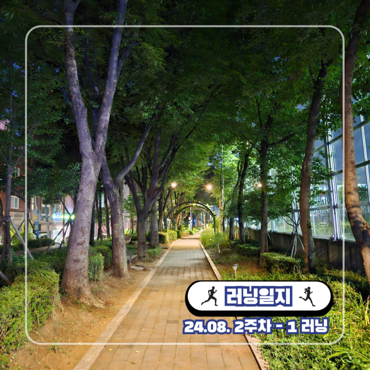 마라톤 러닝 페이스 목표 설정 : 가속주 훈련 및 조깅