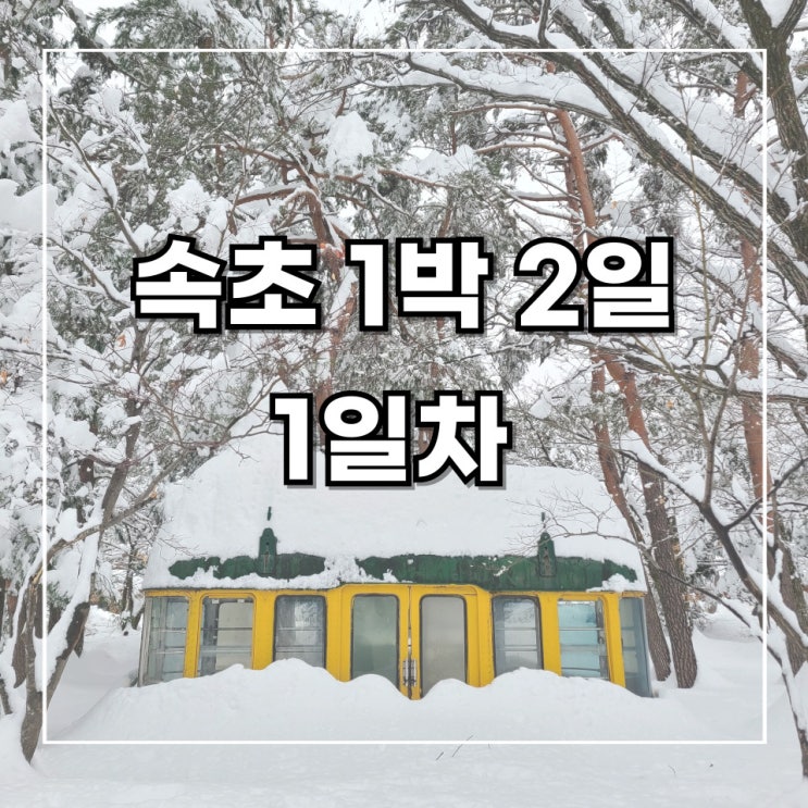  [1박2일 속초 여행] 3. 1일차 기록_ 설악산 케이블카, 속초 뜨락 펜션, 엑스포 타워, 청초호 유원지, 속초 이마트, 속초 해수욕장 야경