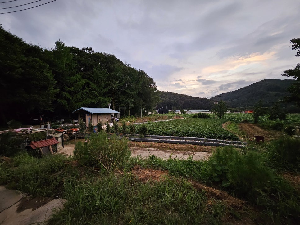 도현농장 사진 4