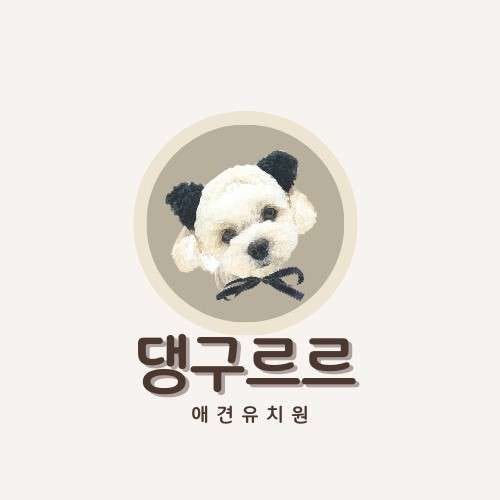 댕구르르 애견유치원