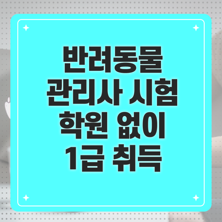  반려동물식품관리사 , 반려동물관리사 자격증 한달 만에 취득했던 후기 여기만 보세요