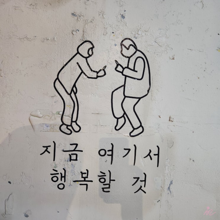  8월 2주 일상 브이로그