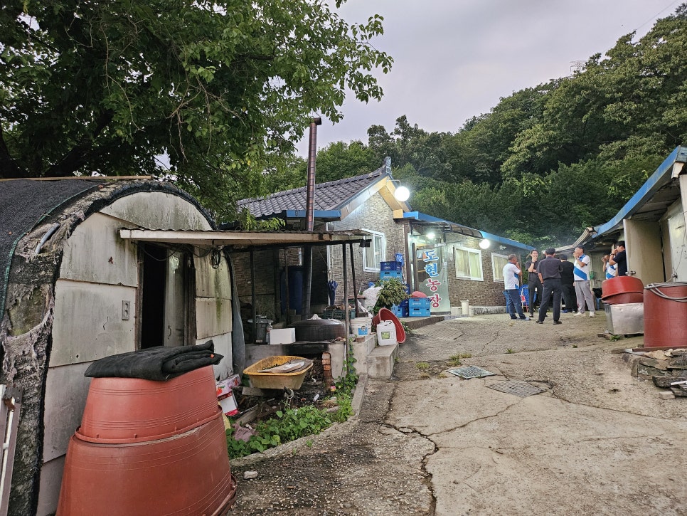 도현농장 사진 1