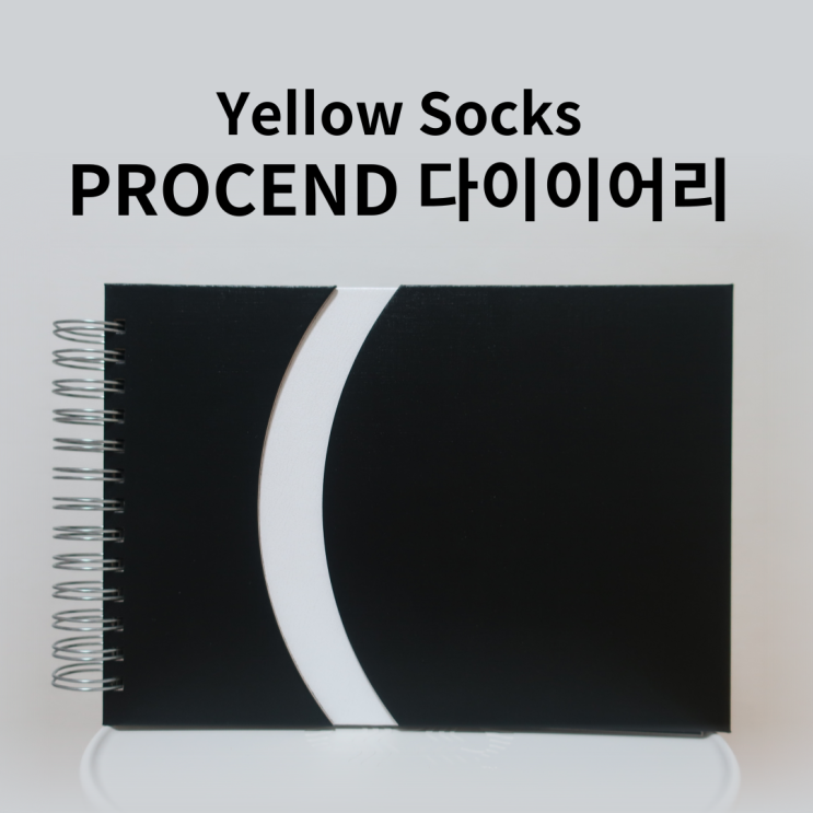  Yellow Socks PROCEND 100일 열망 다이어리 사용 후기️