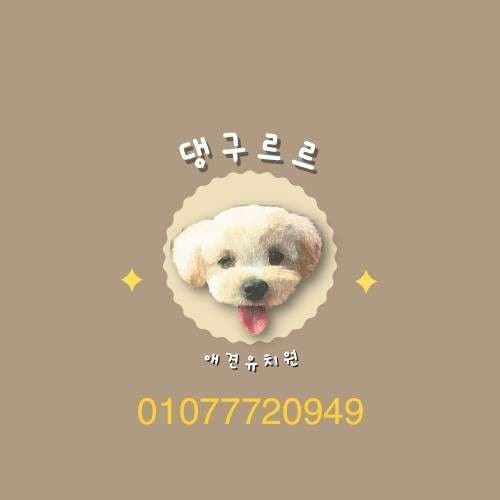 사진 2