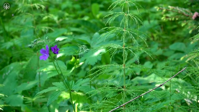  수산물품질관리사 자격증 , 학습방법