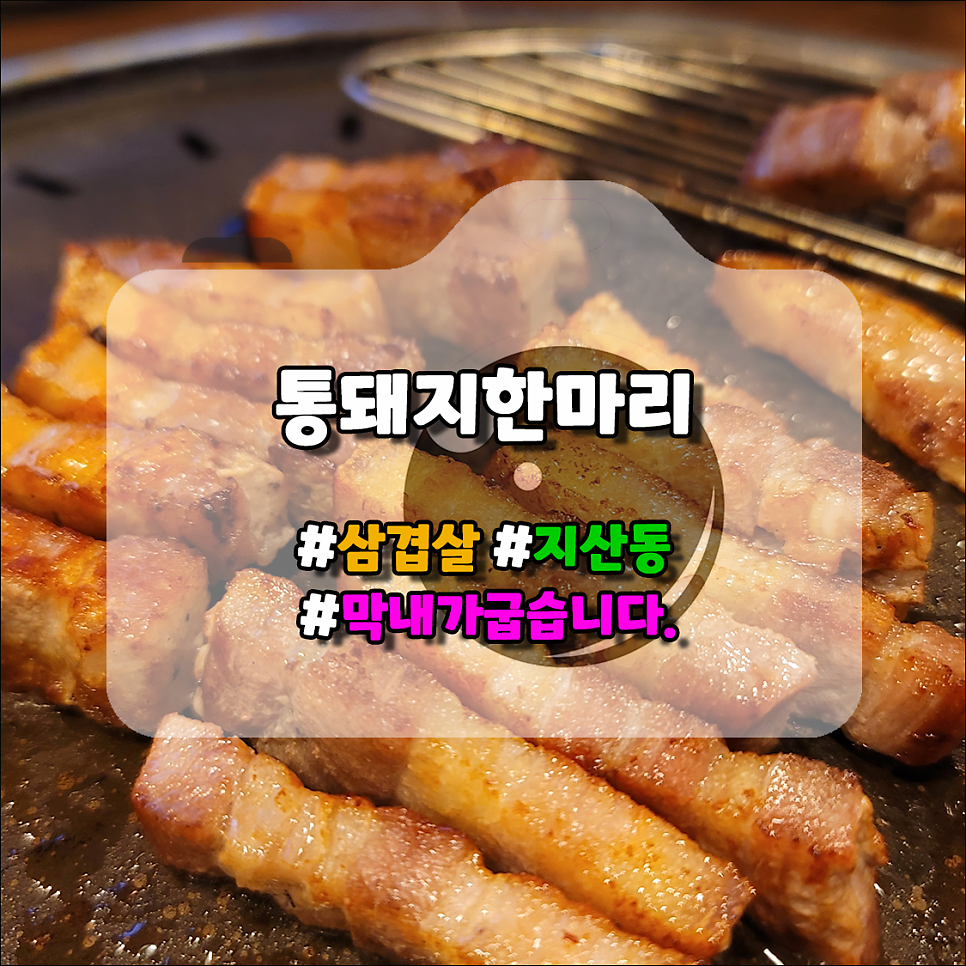 통돼지한마리 사진 1