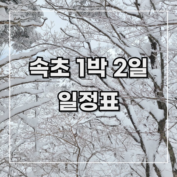  [1박2일 속초 여행] 1. 속초 1박 2일 일정표 (feat. 가볼 만한 곳 리스트)