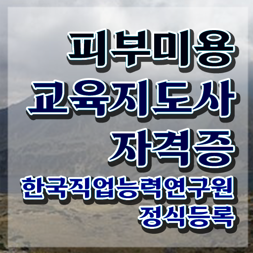  강남피부미용학원 , 피부미용교육지도사 자격증 온라인으로 간단히 취득한 과정 전격분석