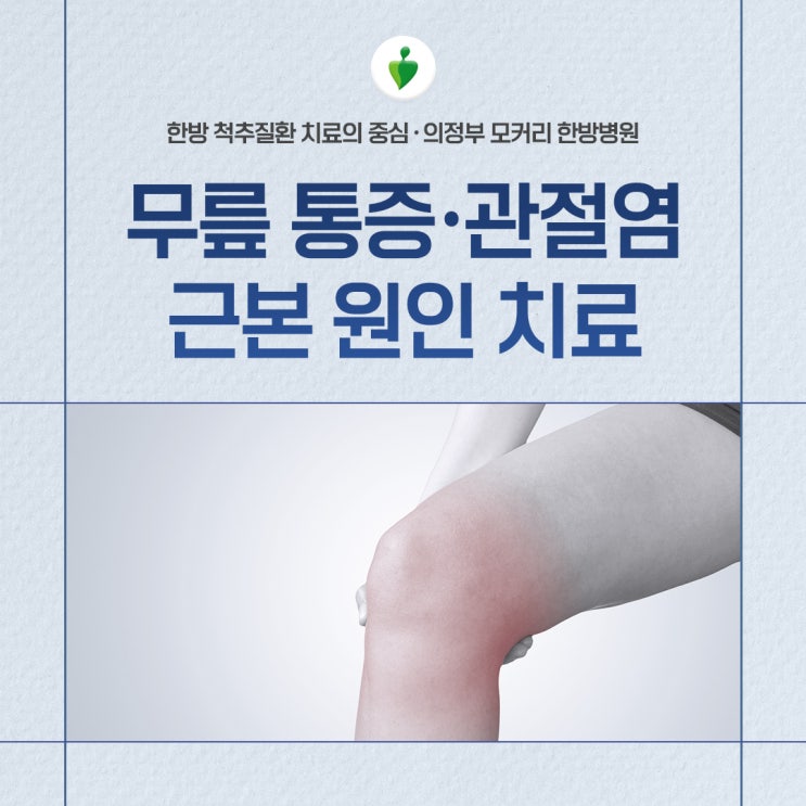  무릎통증·관절염치료, 관절 내부뿐만 아니라 문제 있는 근육과 인대도 함께 치료해야 | 의정부 모커리한방병원