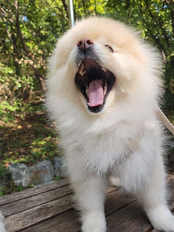 사진 3
