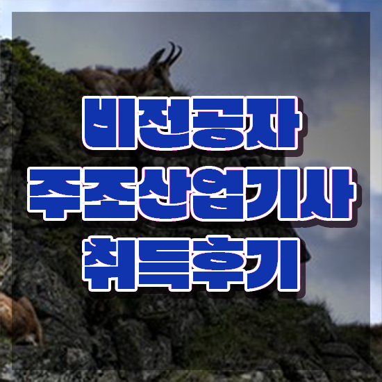  주조산업기사 주조산업기사 시험응시자격 학점은행제로 4개월 만에 준비한 비법