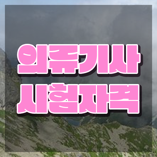  의류기사 취득자격 온라인 수업으로 5개월 만에 준비한 방법