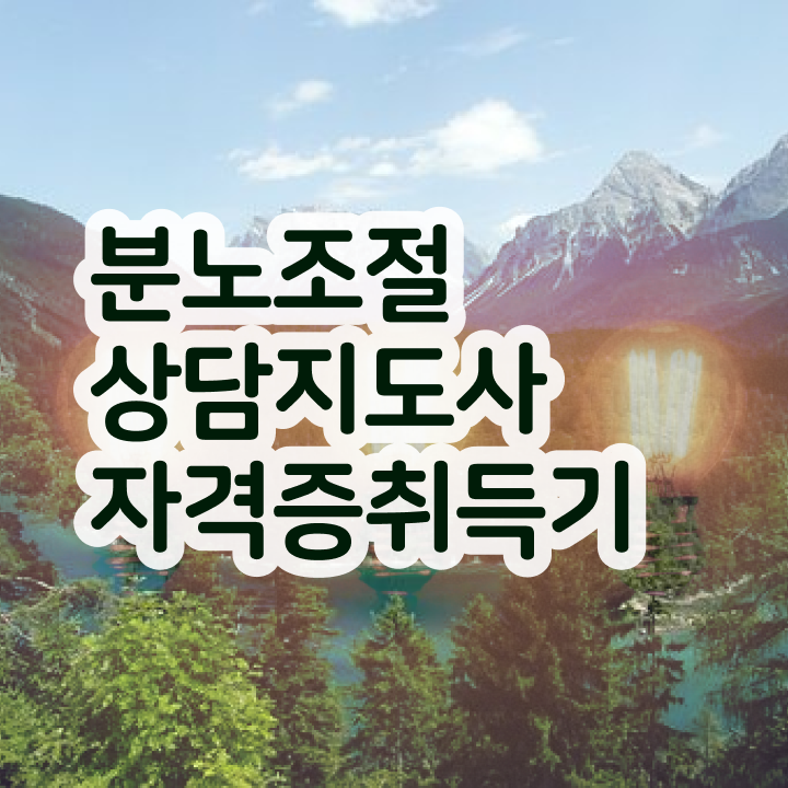  분노조절장애 남편 인강만 듣고 분노조절상담지도사자격증 준비 과정 핵심 정보 정리