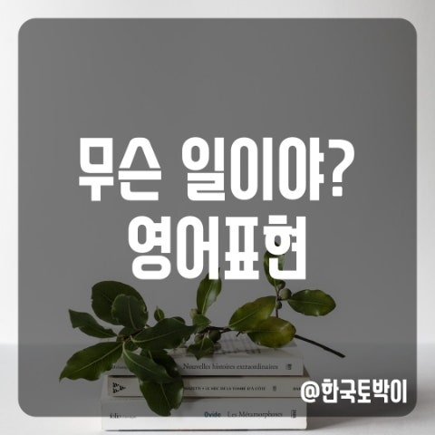  무슨 일이야? 무슨 일 있어? 영어로