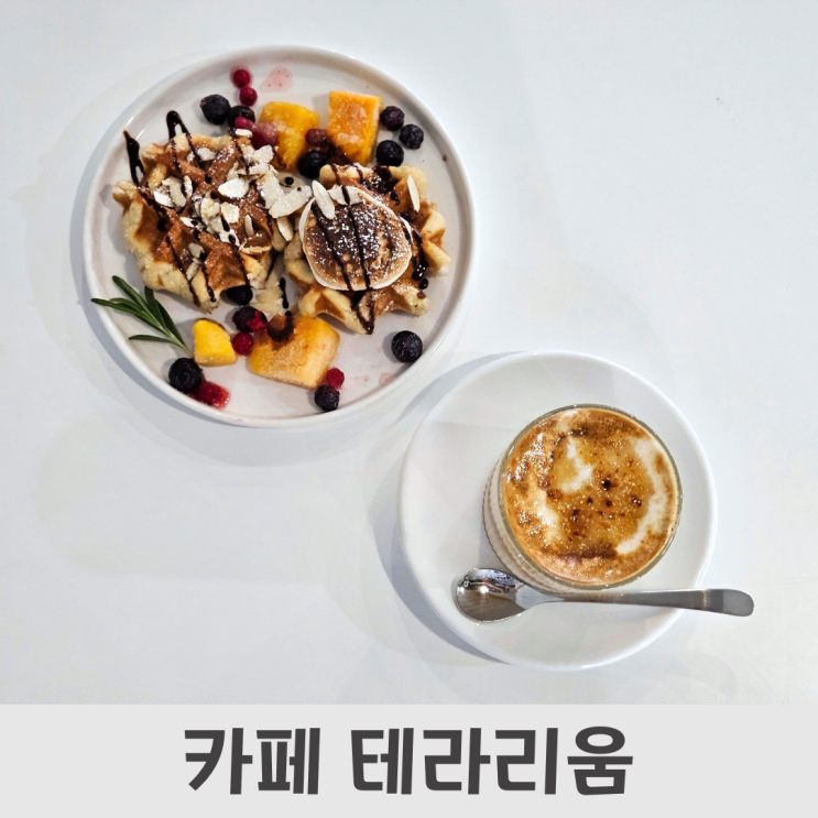  싱그러운 힐링공간, 매일 가고 싶은 충남대 카페 테라리움