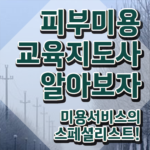  피부학원 , 피부미용교육지도사 자격증 한달 만에 합격한 후기 , 채용 정보