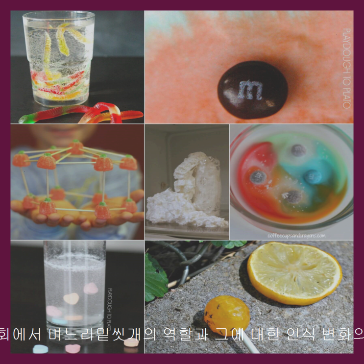 <b>현대</b> 사회에서 <b>며느리</b>밑씻개의 역할과 그에 대한 인식 변화의... 