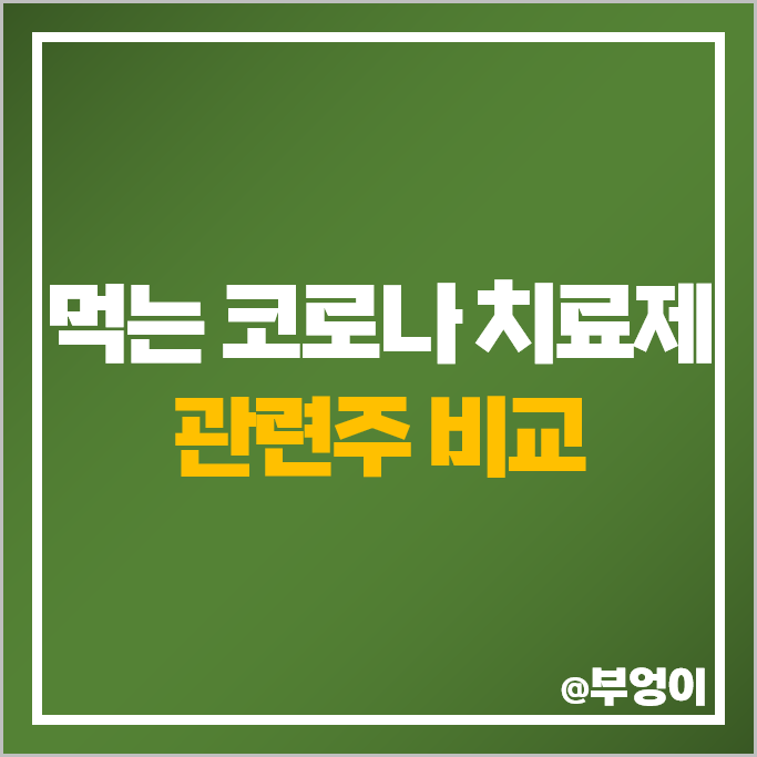 경구용 먹는 코로나 치료제 관련주 신풍제약 주식 현대바이오 주가 경구용 먹는 코로나 치료제 관련주 신풍제약 주식 현대바이오 주가