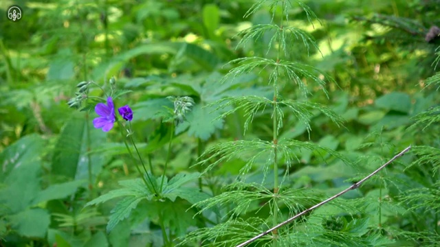  수산물품질관리사 자격증 , 준비한 방법