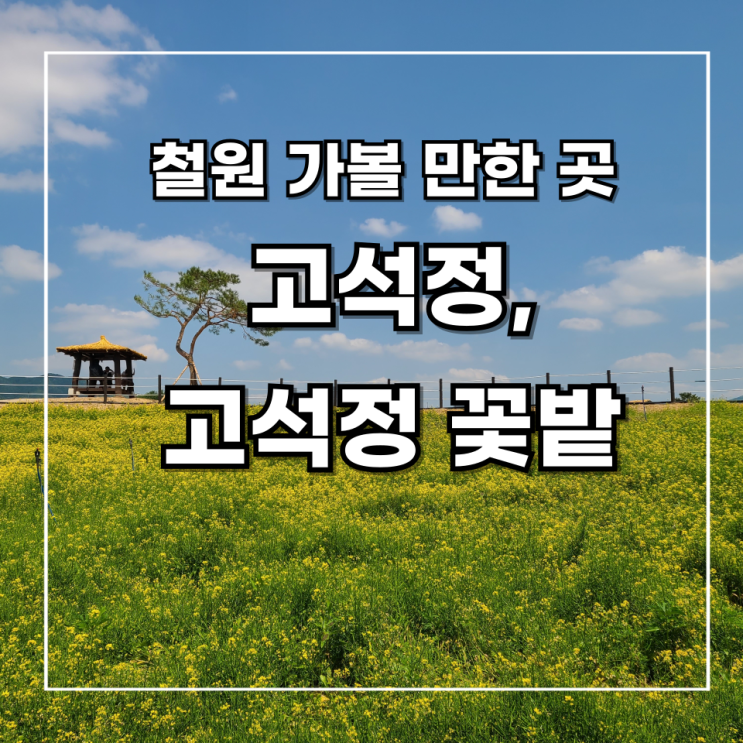  [철원 가볼 만한 곳] 5월 고석정 꽃밭, 고석정 _위치, 입장료, 주차, 개화 정보 _무료 입장기간