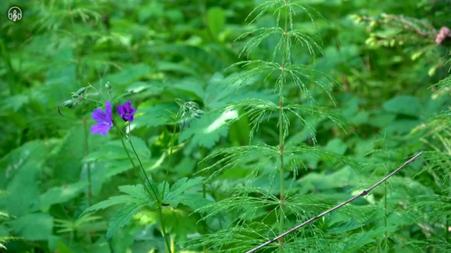  네일아트국가자격증후기 , 네일아트지도사 자격증 온라인으로 학습한 후기 및 향후 전망