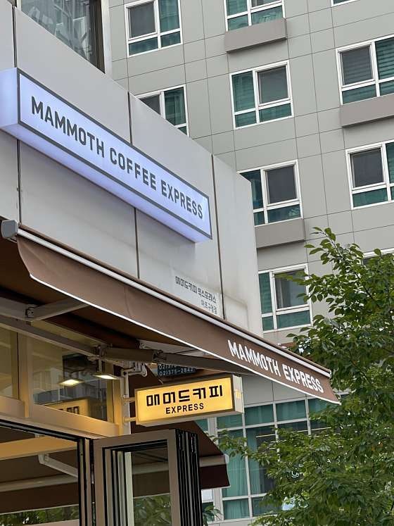 매머드익스프레스 마포구청점 사진 6