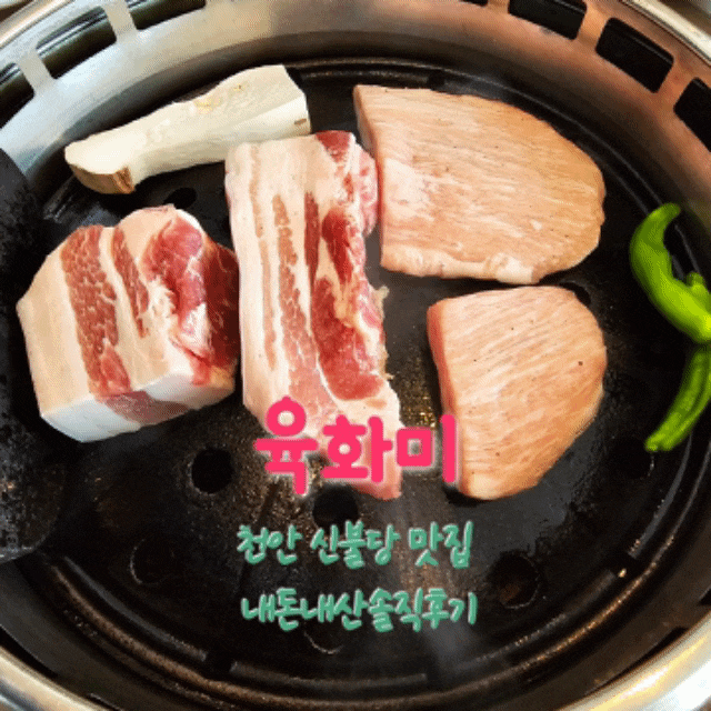  육화미 천안신불당맛집 내돈내산솔직후기
