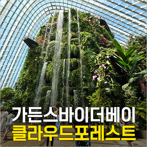  싱가포르 실내 여행지 추천 - 가든스바이더베이 클라우드포레스트 입장권, 시간, 특별전시