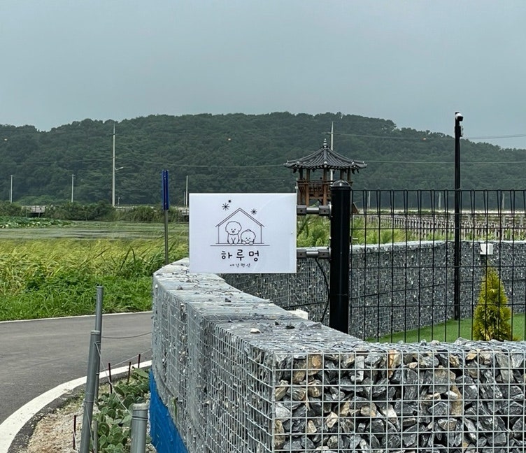 사진 7