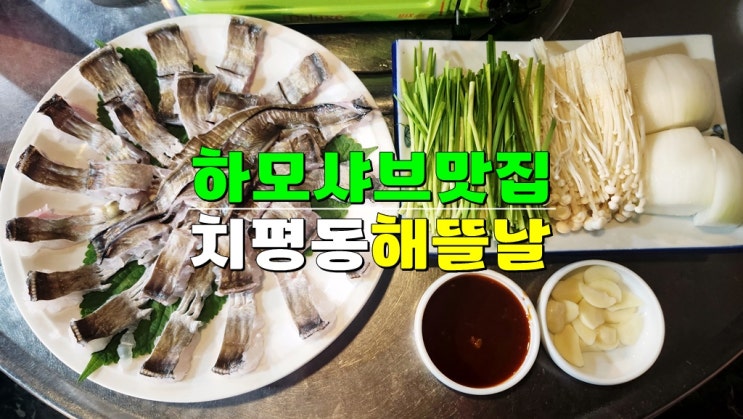 광주 상무지구 치평동 횟집 · 해뜰날 · 하모 샤브샤브 치평동 맛집 광주 상무지구 치평동 횟집 · 해뜰날 · 하모 샤브샤브 치평동 맛집