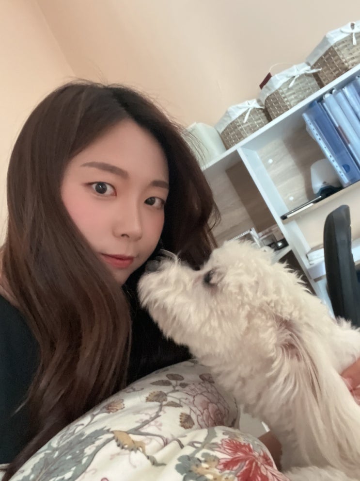  주간 일기(헝가리 일상/국내 혼인신고 완료/남편 가족모임)