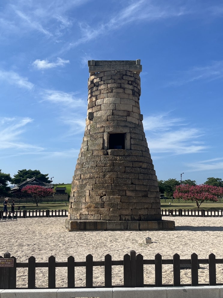  8월 둘째주 ㅣ 여행을 떠나요