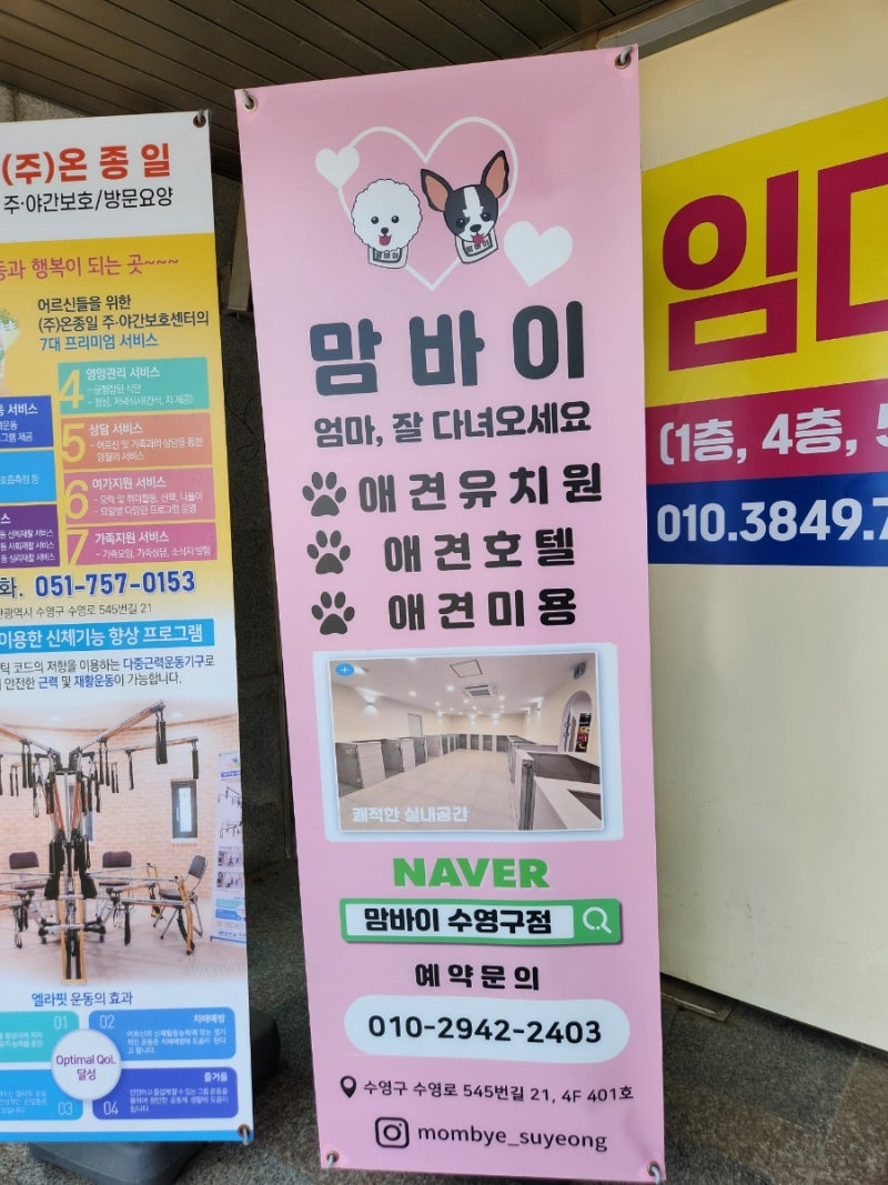 사진 5
