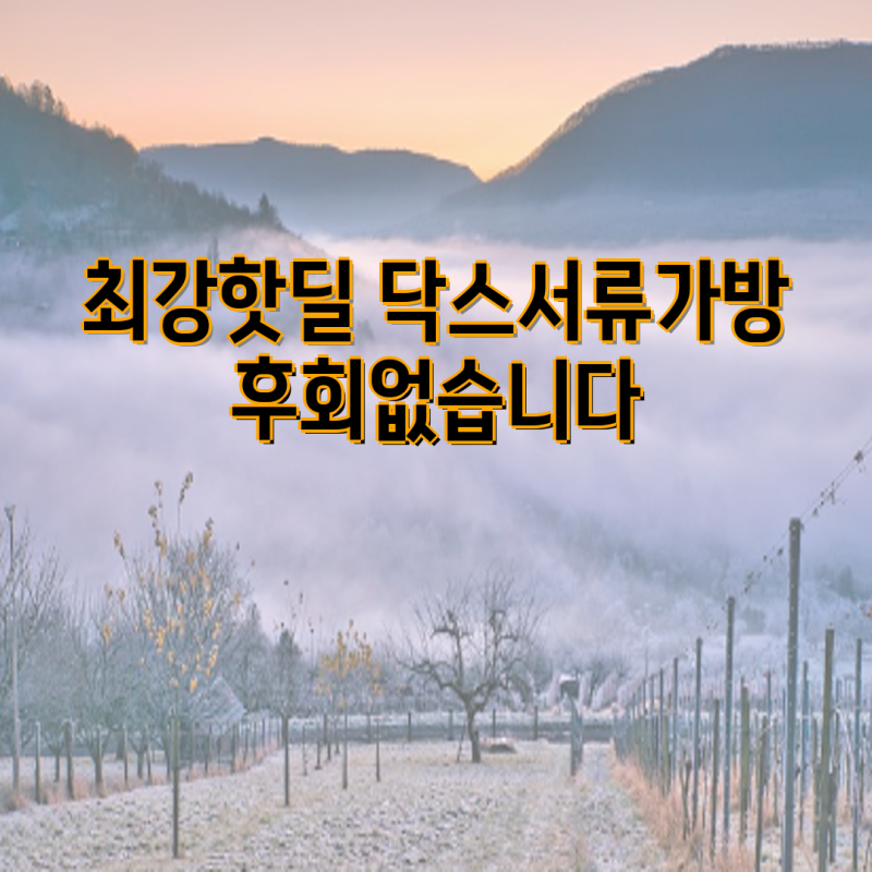 최강핫딜 닥스 서류가방, 남성 블랙 가죽 및 그레이 로고장식 모델 비교 가이드 | 닥스, 서류....