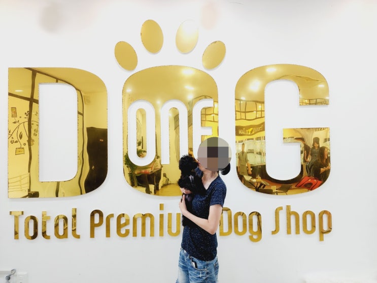  마음이 따뜻한 주인과 만난 블랙말티푸의 새 출발!/강아지분양 세종애견샵 세종시강아지분양 오송강아지분양 조치원애견샵