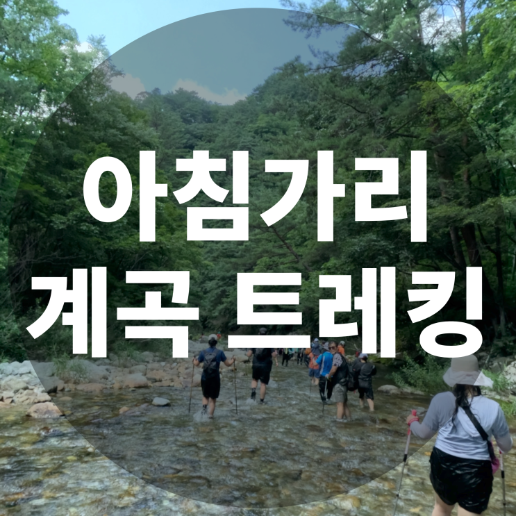  여름 계곡 트레킹은 역시 아침가리 계곡