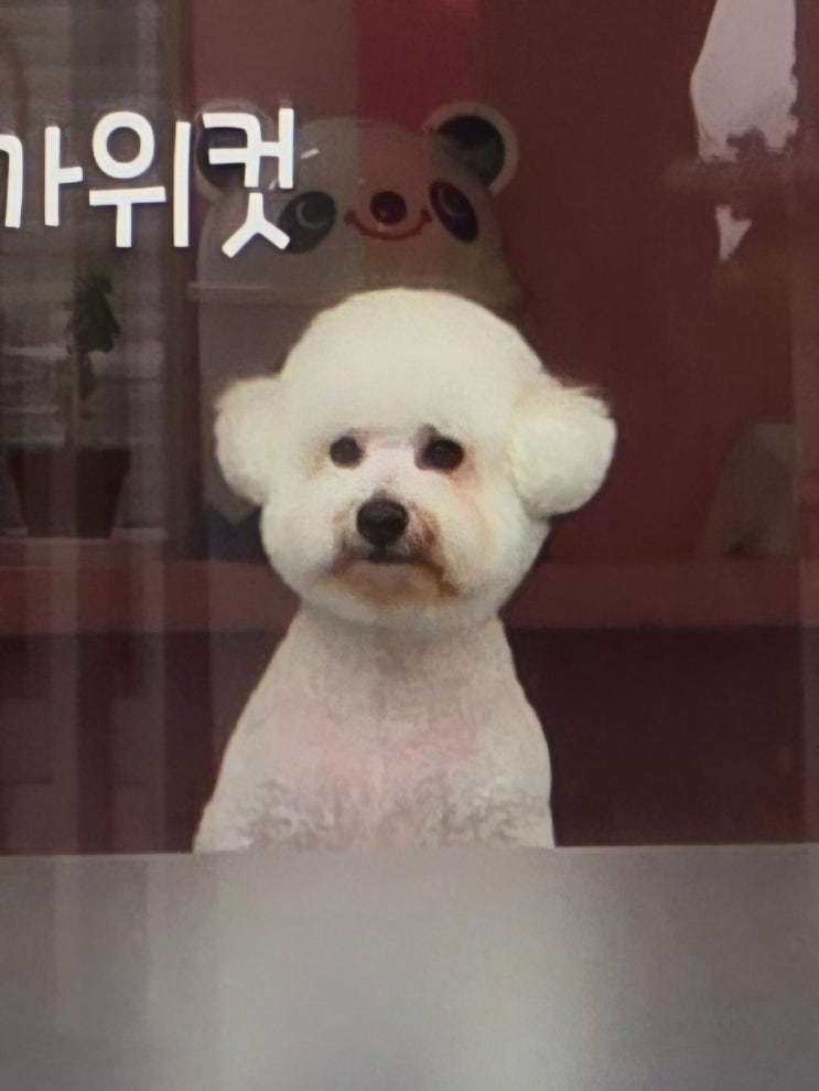  어쩌다 한번 제가 필요한 순간이 왔을 때 맘 편히 찾아오시도록...