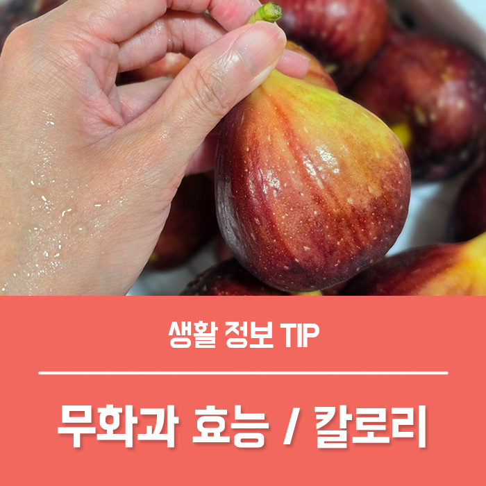  무화과의 효능, 무화과 1개 칼로리 무화과 효능 부작용 먹는법은?