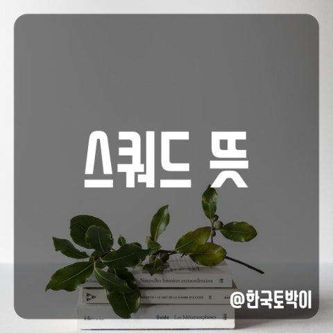  스쿼드 뜻 (squad)