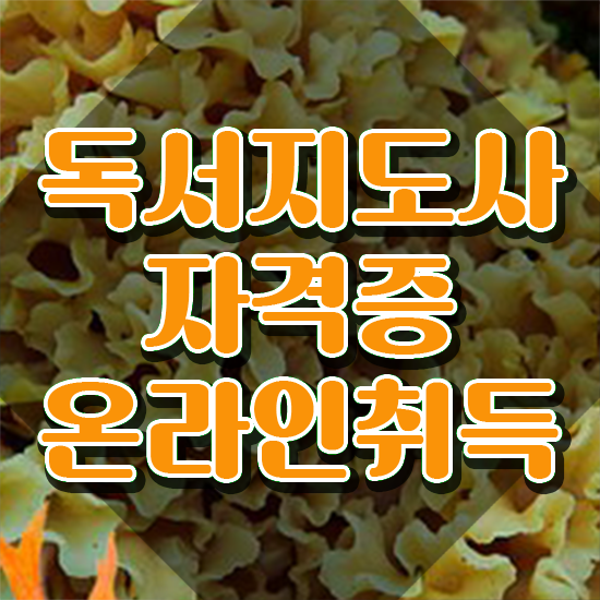 독서지도사 자격증 취득방법 , 독서지도사 자격증 온라인 교육으로 시험준비 궁금증 해결