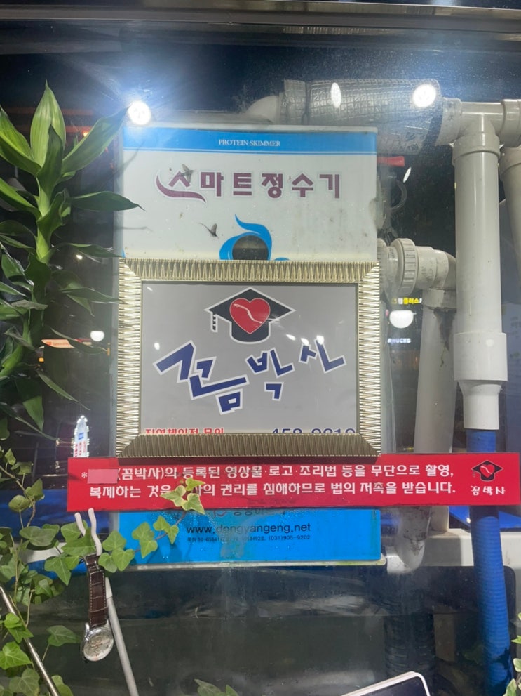이번 주 나의 음식 일상, 꼼박사, 온유월식당, KFC, 구의역숯불집